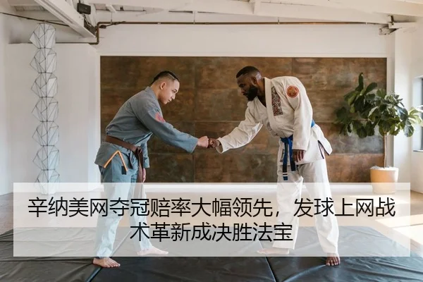 辛纳美网夺冠赔率大幅领先，发球上网战术革新成决胜法宝